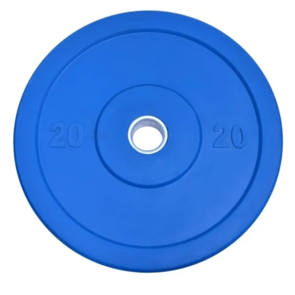 Colored Weight Plates - 20kg
